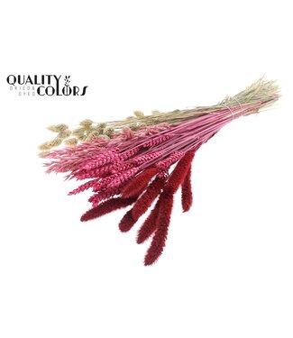 QC Dried Flower mix bunch Lady Mix ( x 6 )