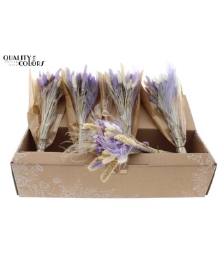 QC Dried BQT-Intense Milka ( x 5 )