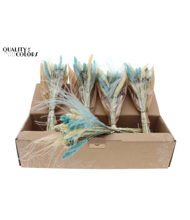 Dried BQT-Intense Light Blue ( x 5 )