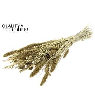 QC Dried Flower mix bunch Gold ( x 6 )