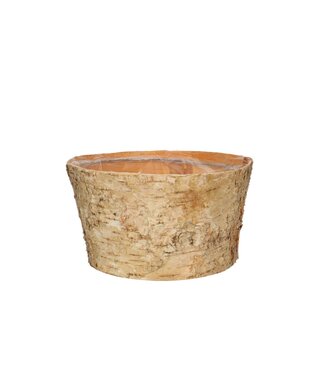 4A Pot de fleurs en bois de bouleau naturel | Dimensions 20 x 11 centimètres | Par lot de 10 pièces