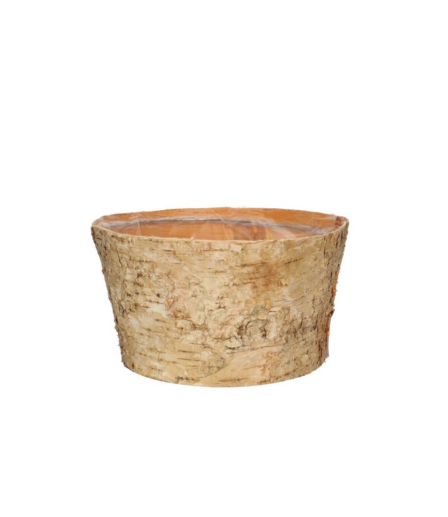 Pot de fleurs en bois de bouleau naturel | Dimensions 20 x 11 centimètres | Commande par lot de 10 pièces