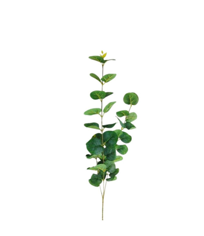 Kunstbloemen Eucalyptus 80cm ( x 10 )