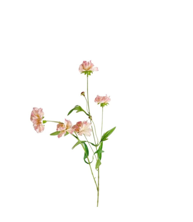 Kunstbloemen Centaurea 65cm ( x 10 )