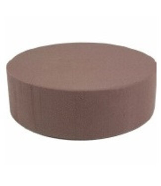 4A Oasis Bio Cilinder 22cm ( x 2 )