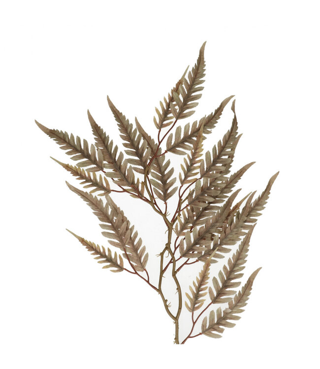 Kunstbloemen Fern 70cm ( x 10 )