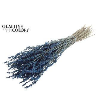 QC Lavendel 100gr SUPER Blue per bunch ( x 10 )