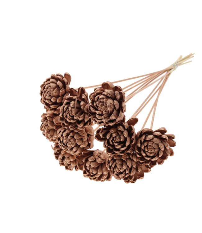 Shola New Beauty Rose Ø8cm on stem Copper ( x 40 )