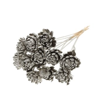 QC Shola New Beauty Rose Ø8cm on stem Platina ( x 40 )