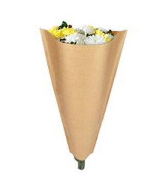 4A Hoezen Kraft 50*40*12cm x50 ( x 1 )