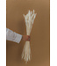 Blé sec blanchi | Fleurs séchées de Triticum blanchi | Longueur ± 70 centimètres | Commande par grappe