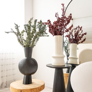 Gepreserveerde takken