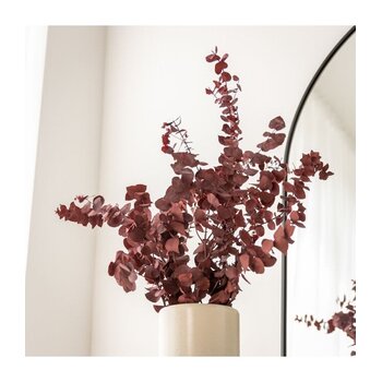 Gepreserveerde Eucalyptus