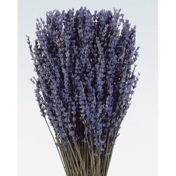 Gepreserveerde Lavendel