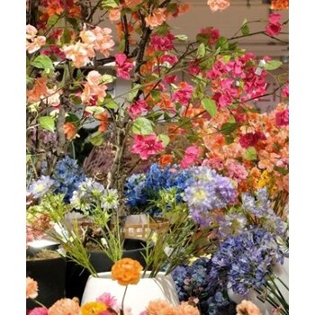 Meer gepreserveerd...