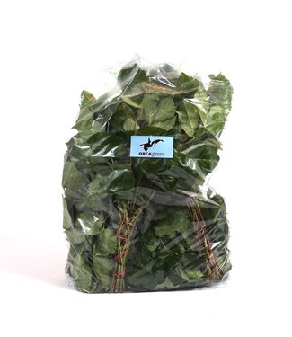 AD Salal Tip Orca X5 Flowpack ( x 20 )