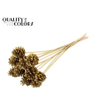 QC Pine cone 5-7cm on stem Gold + Glitter ( x 50 )