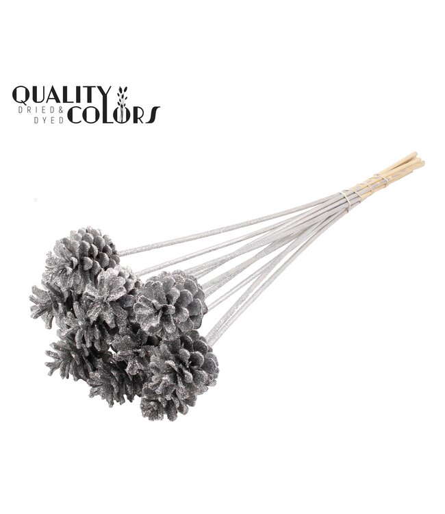 Pine cone 5-7cm on stem Silver + Glitter ( x 150 )