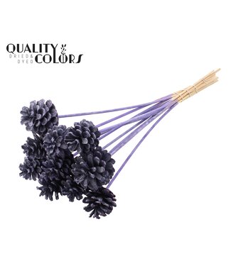QC Pine cone 5-7cm on stem Frosted Purple ( x 50 )