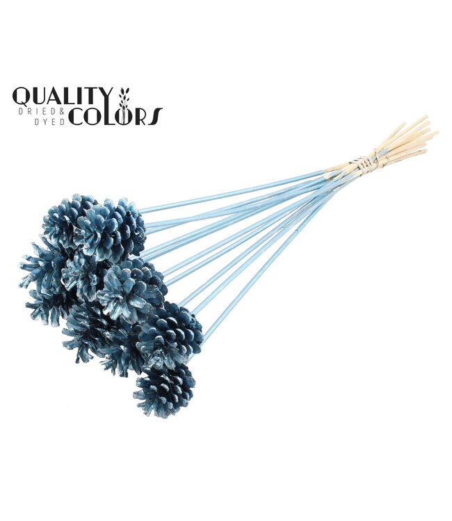 Pine cone 5-7cm on stem Metallic Blue ( x 50 )