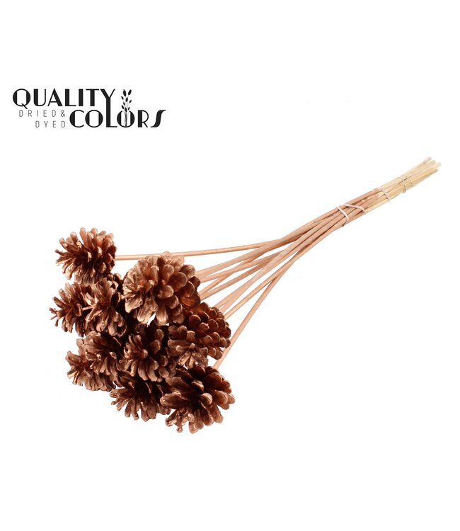 Pine cone 5-7cm on stem Copper ( x 50 )