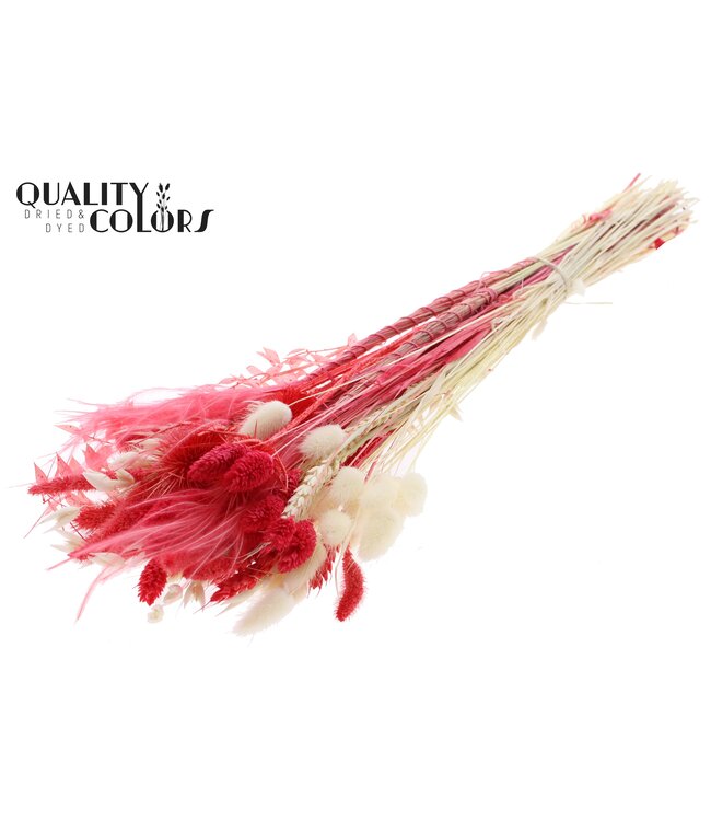 BQT Round Large Ruby ( x 5 )
