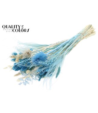 QC BQT Round Small Ocean ( x 8 )