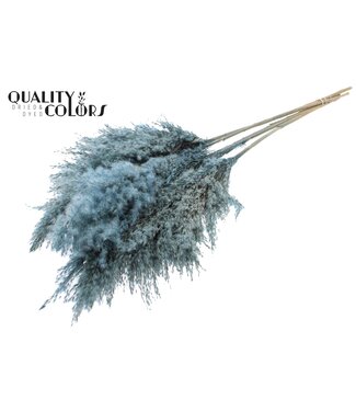 QC Pampas Grass 100cm 5st/bunch Frosted Light Blue ( x 10 )