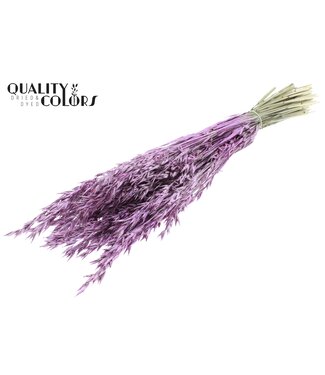QC Avena per bunch Metallic Pink + Glitter ( x 6 )