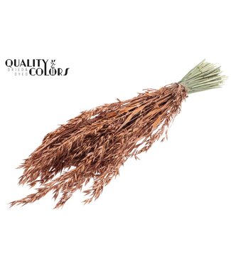 QC Avena per bunch Copper + Glitter ( x 6 )