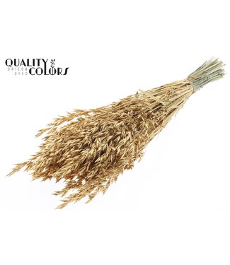 QC Avena per bunch Antique Gold + Glitter ( x 6 )