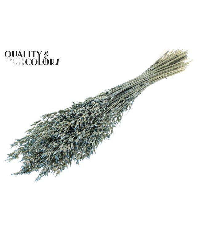 Avena per bunch Pearl Light Blue ( x 6 )
