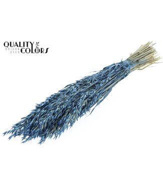QC Avena per bunch Pearl Blue ( x 6 )