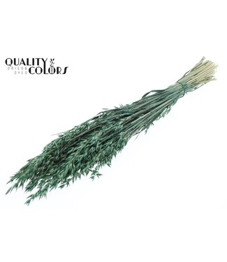 QC Avena per bunch Pearl Green ( x 6 )