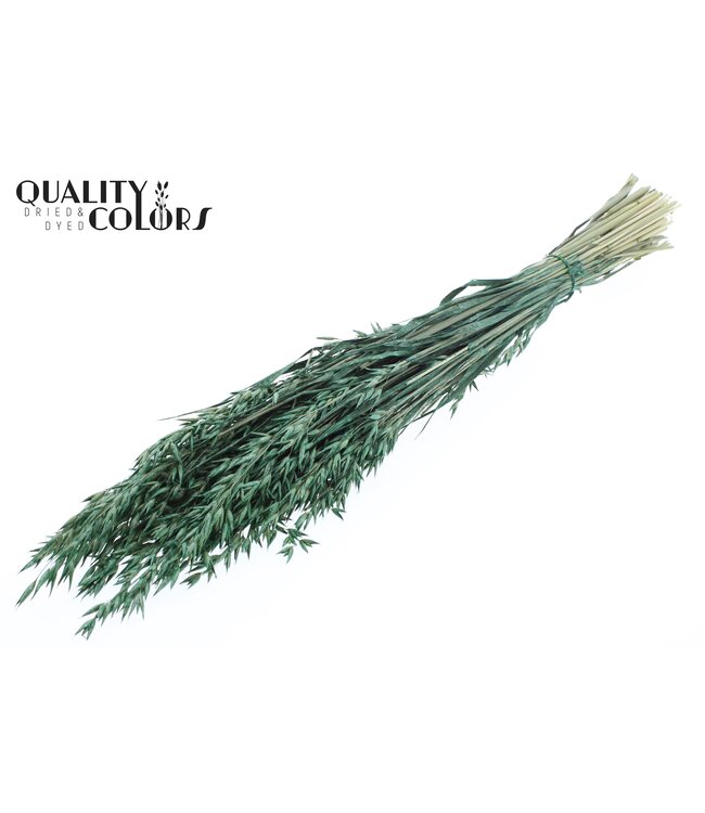 Avena per bunch Pearl Green ( x 6 )