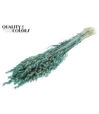 QC Avena per bunch Pearl Turquoise ( x 6 )