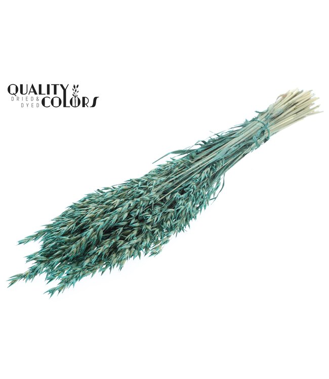 Avena per bunch Pearl Turquoise ( x 6 )