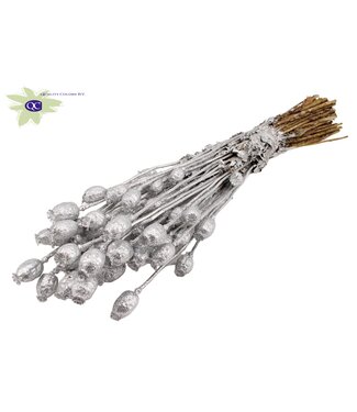 QC Papaver per bunch Silver + Glitter ( x 6 )