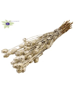 QC Papaver per bunch Platina + Glitter ( x 15 )