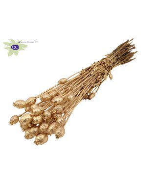 QC Papaver per bunch Antique + Glitter ( x 6 )