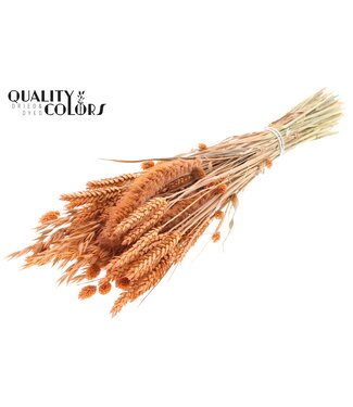 QC Dried Flower mix bunch Frosted Salmon ( x 6 )