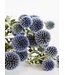 Chardon boule naturel bleu-gris | Echinops fleurs séchées | Longueur ± 65 cm | Commande par bouquet