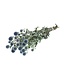 Chardon boule naturel bleu-gris | Echinops fleurs séchées | Longueur ± 65 cm | Commande par bouquet