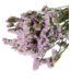 Milkapaars dried Curly Sea Lavender | Statice Sinuata dried flowers | Length ± 70 centimetres | Available per bunch