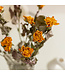 Yellow-orange dried roses | 10 roses per bunch | Length 50 centimetres | Available per bunch
