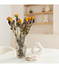 Yellow-orange dried roses | 10 roses per bunch | Length 50 centimetres | Available per bunch