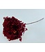 Pomegranate Red Hydrangea Cabeza | Length 50 centimetres | Available per piece