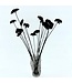 Black Achillea Filipendulina dried flowers | Length 65 centimetres | Available per bunch