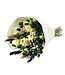 Dried Flower Bouquet Trendy Comfort | Length ±55 centimetres | Available per dried bouquet