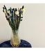 Dried Flower Bouquet Trendy Comfort | Length ±55 centimetres | Available per dried bouquet